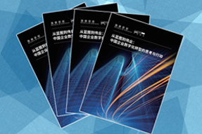 《从蓝图到伟业：中国企业数字化转型的思考与行动》